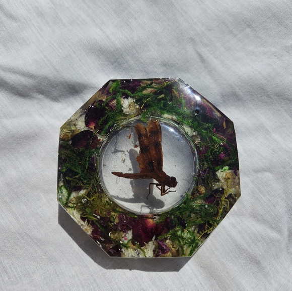 Real dragonfly dish/ash tray! - Picture 2 of 2
